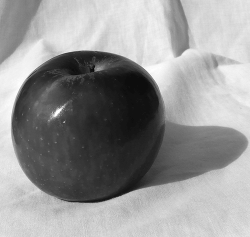 value-the-elents-of-art-bw-apple