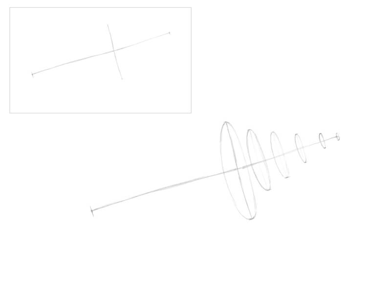 Planning a framework for the seashell drawing