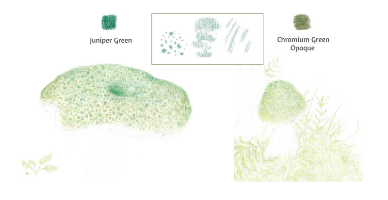 Adding patterns to the tops of the mushrooms with colored pencils