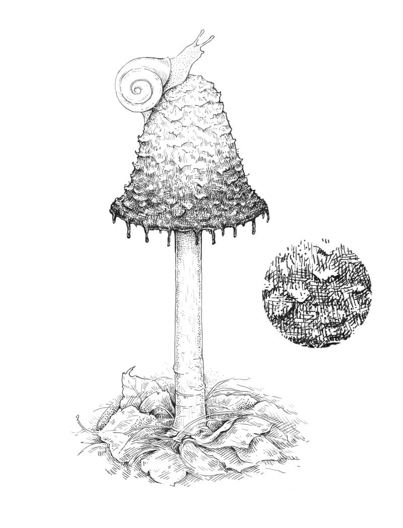 Darkening the shadows on the mushroom