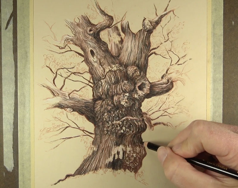 Adding shadows to a tree