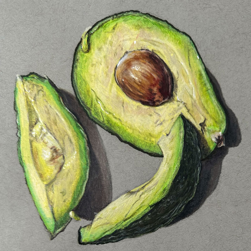 Posca Markers and Colored Pencils - Avocados