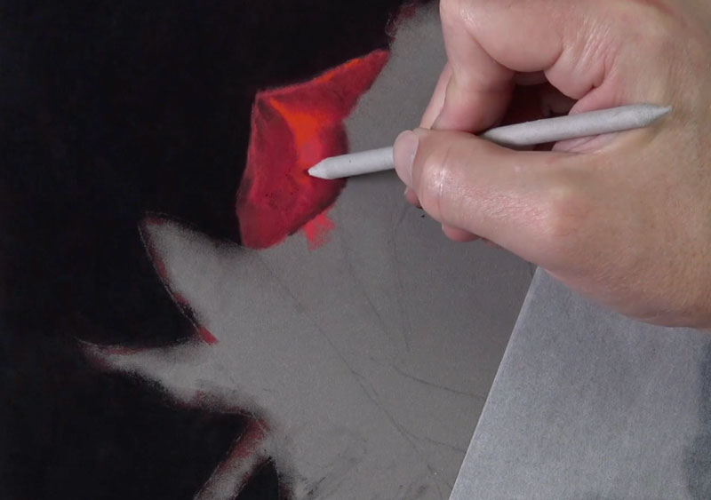 Blending shadows on the rose petal with a blending stump