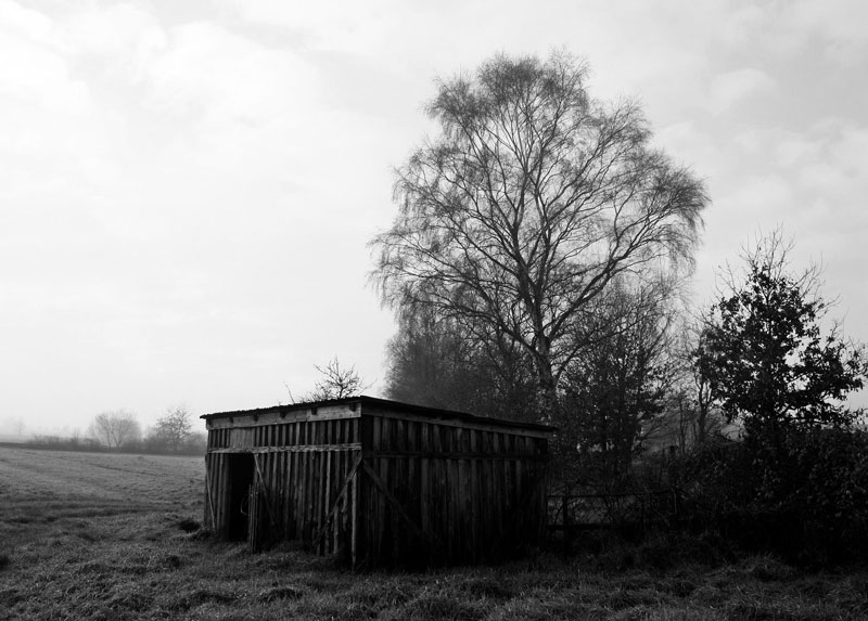 Photo reference for charcoal landscape drawing