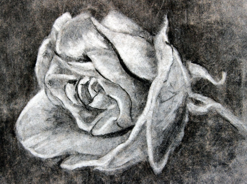 Charcoal Rendering