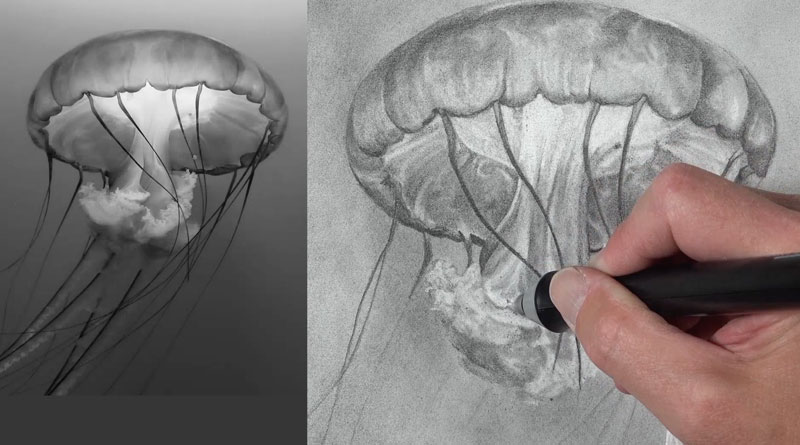 Creating light values with powdered graphite