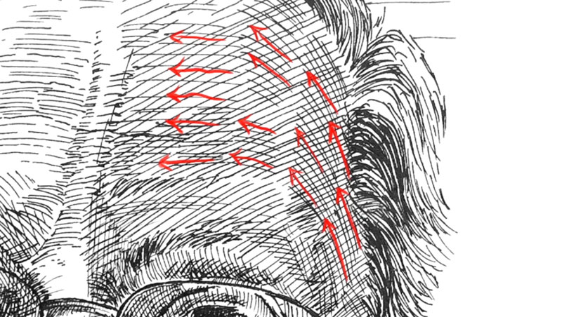 Cross contour lines in a portrait