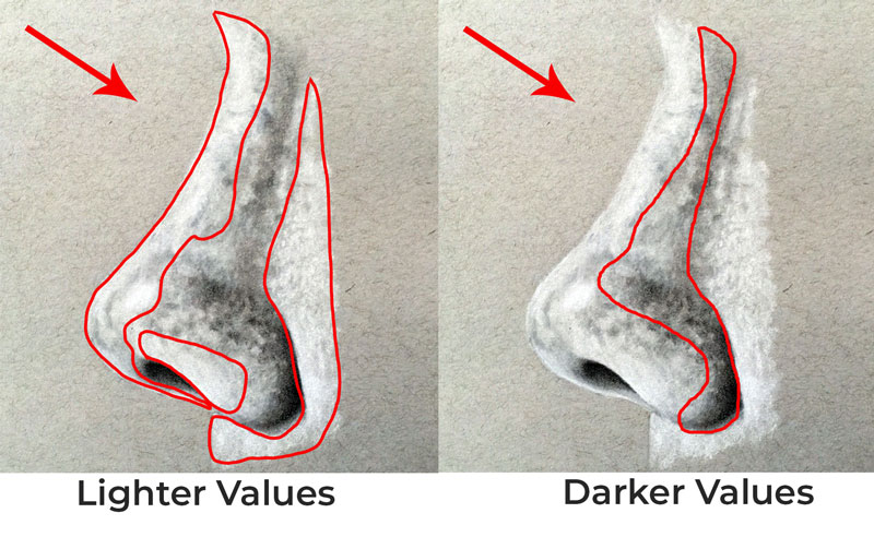 Darker and lighter values on the nose