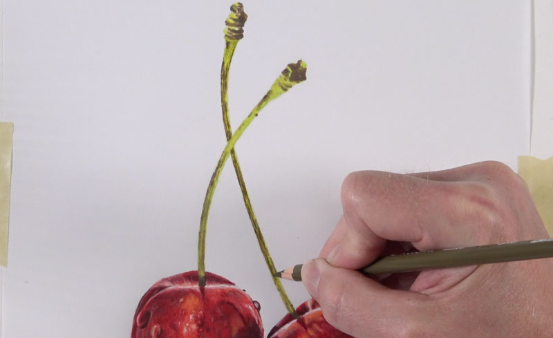 Applying colored pencils to the stem