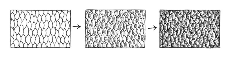 Texture of fish scales