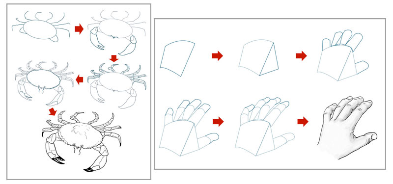 Drawing Formulas