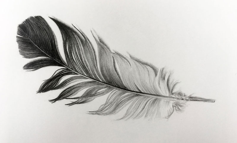 How to draw a feather