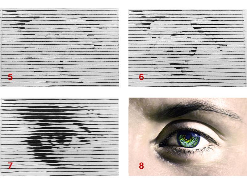 Drawing an eye with hatching using varied line weight step two