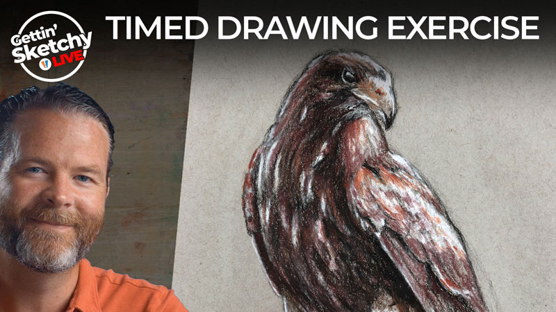 How to Draw a Hawk with Sepia Toned Pastels