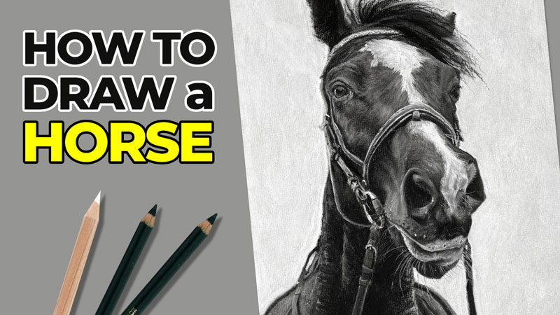 How to Draw a Horse with Charcoal