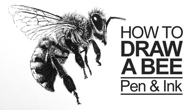 How to Draw a Bee