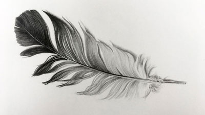 How to Draw a Feather