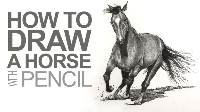 How to Draw a Horse with Pencil