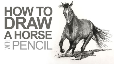 How to Draw a Horse with Pencil