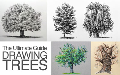 How to Draw Trees