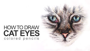 How to Draw Cat Eyes