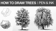 How to Draw a Tree with Pen and Ink