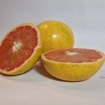 Grapefruit Photo Reference 2