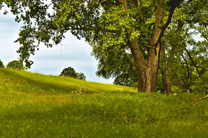 Oil Pastel Landscape Photo Reference