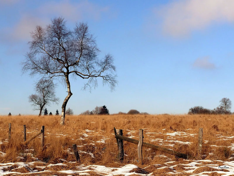 Pastel landscape reference photo