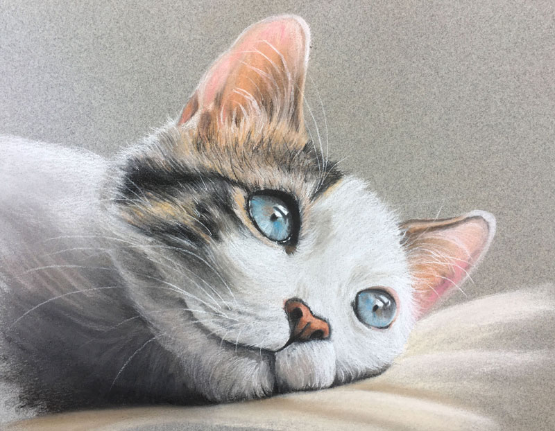 How to draw a cat with pastels