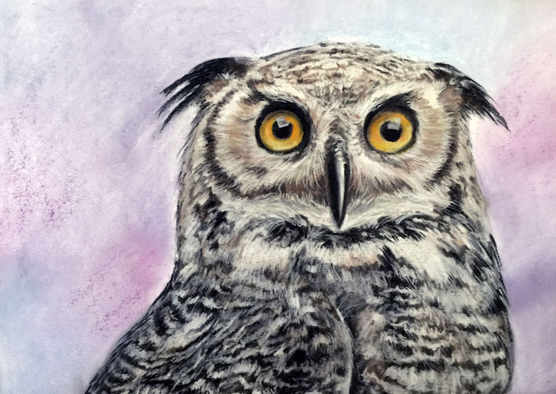 How to draw an owl with pastel pencils