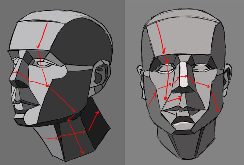 Planes of the face