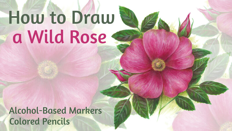 How to Draw a Rose with Markers and Colored Pencils