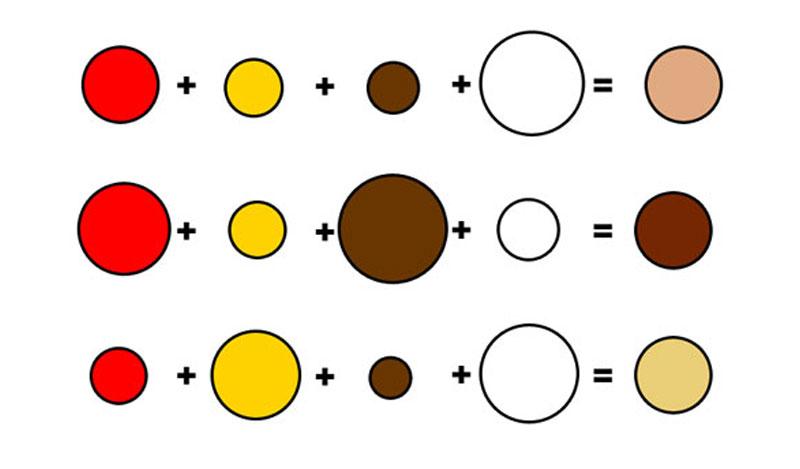 Skin Tone Variations