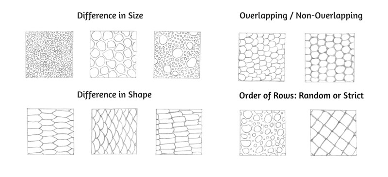 Variety of animal scales found in nature