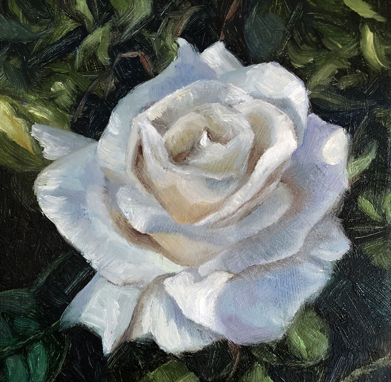 White Rose Oil Painting